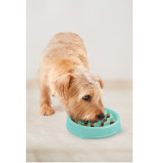 Gamelle anti-glouton Fun Feeder Wave Mint