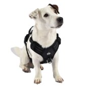 Harnais Anti-traction en Y pour chien Rando Walk NOIR