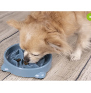 Gamelle anti-glouton pour chien