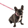 Collier RIO rose pour chien