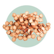 Saucisse de Canard Tranchée 95% viande pour Chat 40 g