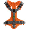 Harnais Maldon pour chien orange Hunter