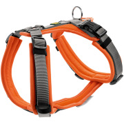 Harnais Maldon pour chien orange Hunter