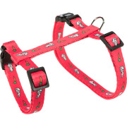 Harnais pour lapin motif carottes avec laisse