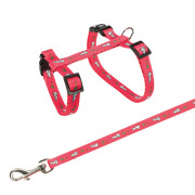 Harnais pour lapin motif carottes avec laisse