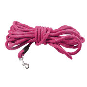 Laisse longue pour chien 3 m, 5 m, 10 m, Walk Fuschia