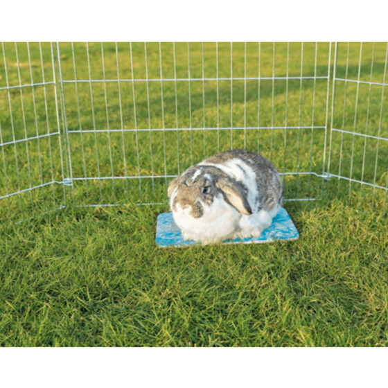 Plateau rafraîchissant Cooling pour lapin