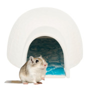 Igloo avec coussin réfrigérant