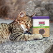 KONG Herbe à chat Naturals Catnip 1 oz
