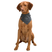 Bandana pour chien gris marine motif ancre