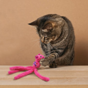 KONG Jouet pour chat Wubba Bunny