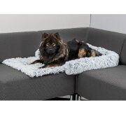 Protège-canapé Rembourré pour Chien