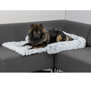 Protège-canapé Rembourré pour Chien