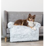 Protège-canapé Rembourré pour Chien