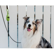 Distributeur sac à crottes