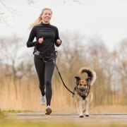 Ceinture de jogging avec laisse pour Chien