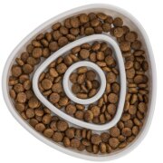 Gamelle Anti-glouton pour Chat