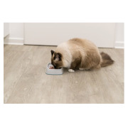Gamelle anti-glouton chat rectangulaire 0,25 L