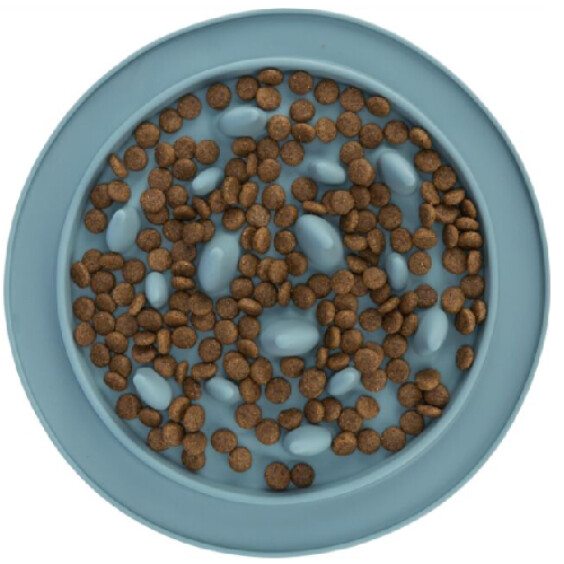 Gamelle à lécher anti-glouton pour chien et chat 24 cm