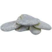 Plateau en pierre Reptile & Poisson