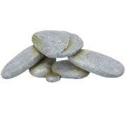 Plateau en pierre Reptile & Poisson