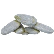 Plateau en pierre Reptile & Poisson