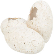 Abri Grotte Œufs pour Reptile 