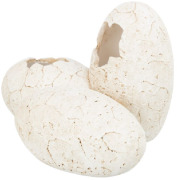 Abri Grotte Œufs pour Reptile