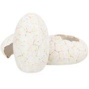 Abri Grotte Œufs pour Reptile