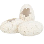 Abri Grotte Œufs pour Reptile 