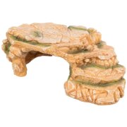 Plateau de roche avec Grotte Reptile & Poisson