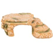 Plateau de roche avec Grotte Reptile & Poisson