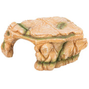 Plateau de roche avec grotte pour reptile et poisson