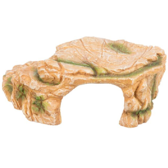 Plateau de roche avec grotte pour reptile et poisson
