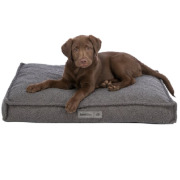 Matelas pour chien