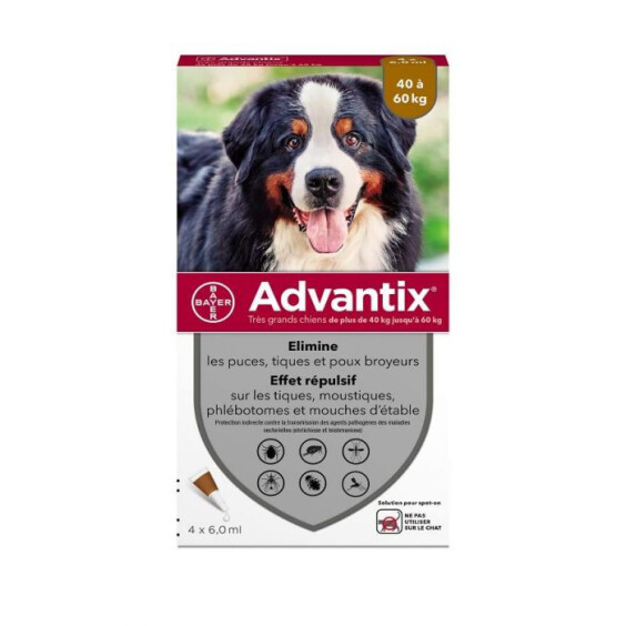Pipette antipuce pour très grand chien de plus de 40 kg
