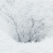 Panier Harvey tout doux pour tout petit chien, chihuahua