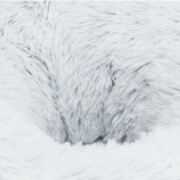 Panier Harvey tout doux pour tout petit chien, chihuahua