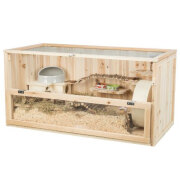 Maison pour souris et hamster