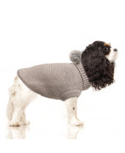 Pull pour petit chien CAMILLE beige