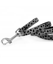 Collier pour chien luxe, original en cuir gris