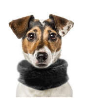 Echarpe pour chien TANYA noir