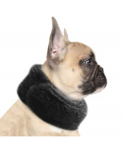 Echarpe pour chien TANYA noir