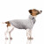 Pull pour chien HELSINKI gris