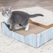 Boite griffoir carton chat, Design