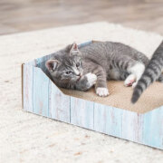 Boite griffoir carton chat, Design