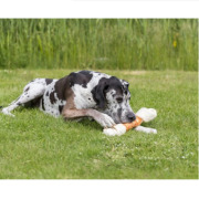 Os Géant pour gros chien 500 g