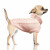 Pull pour chien Donovan Rose