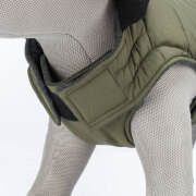 Manteau pour chien Arlay vert foncé