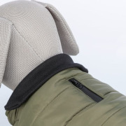 Manteau pour chien Arlay vert